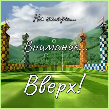 Квиддич. Дружеский матч