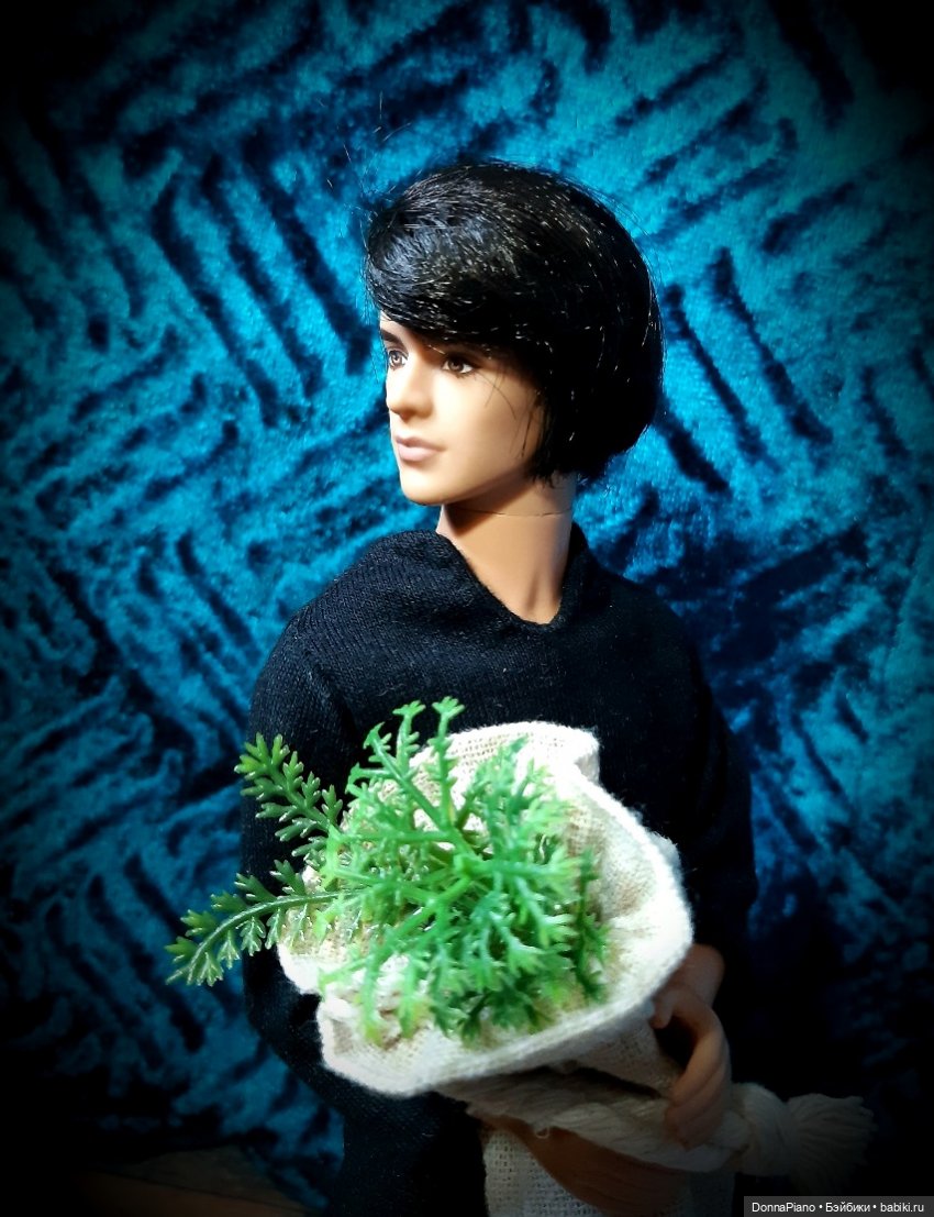 Самая короткая ночь — Кукольные фотоистории и сериалы: комиксы