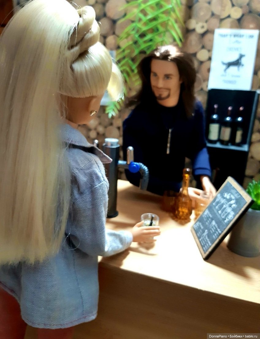 Вечер у Бродяги — Кукольные фотоистории и сериалы: комиксы