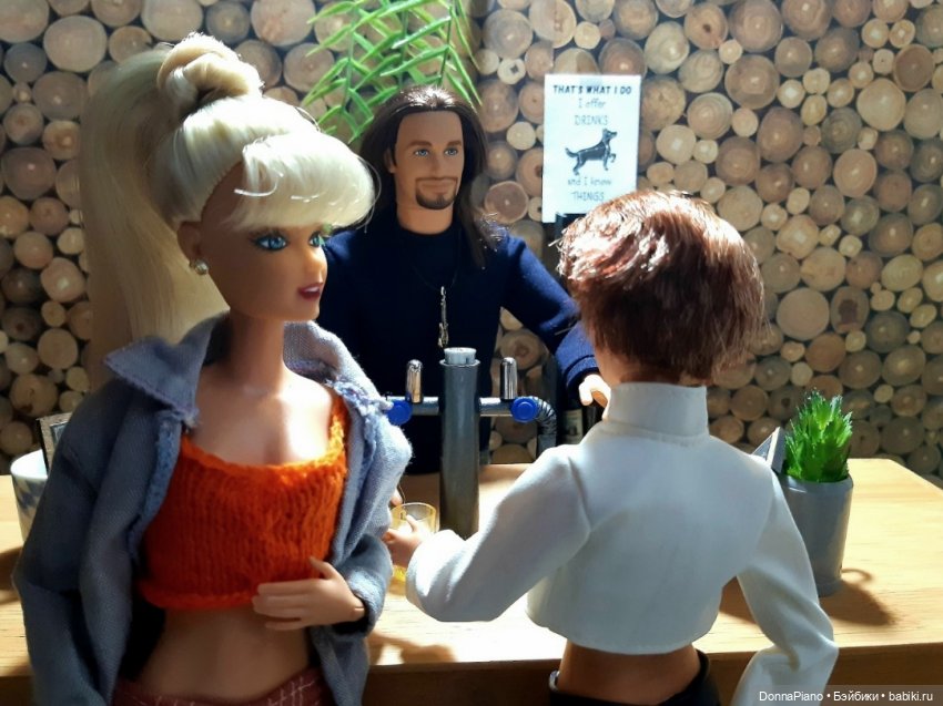 Вечер у Бродяги — Кукольные фотоистории и сериалы: комиксы