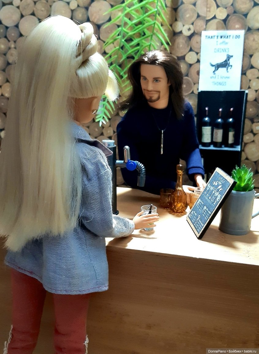 Вечер у Бродяги — Кукольные фотоистории и сериалы: комиксы