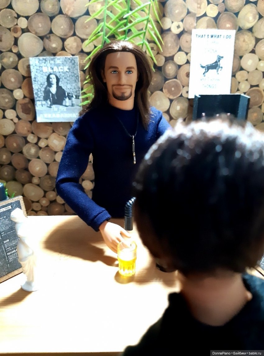 Вечер у Бродяги — Кукольные фотоистории и сериалы: комиксы