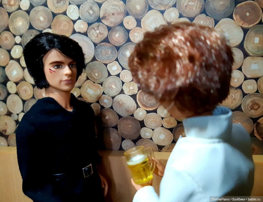 Вечер у Бродяги — Кукольные фотоистории и сериалы: комиксы