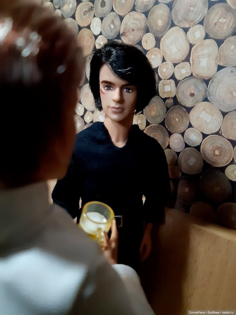 Вечер у Бродяги — Кукольные фотоистории и сериалы: комиксы