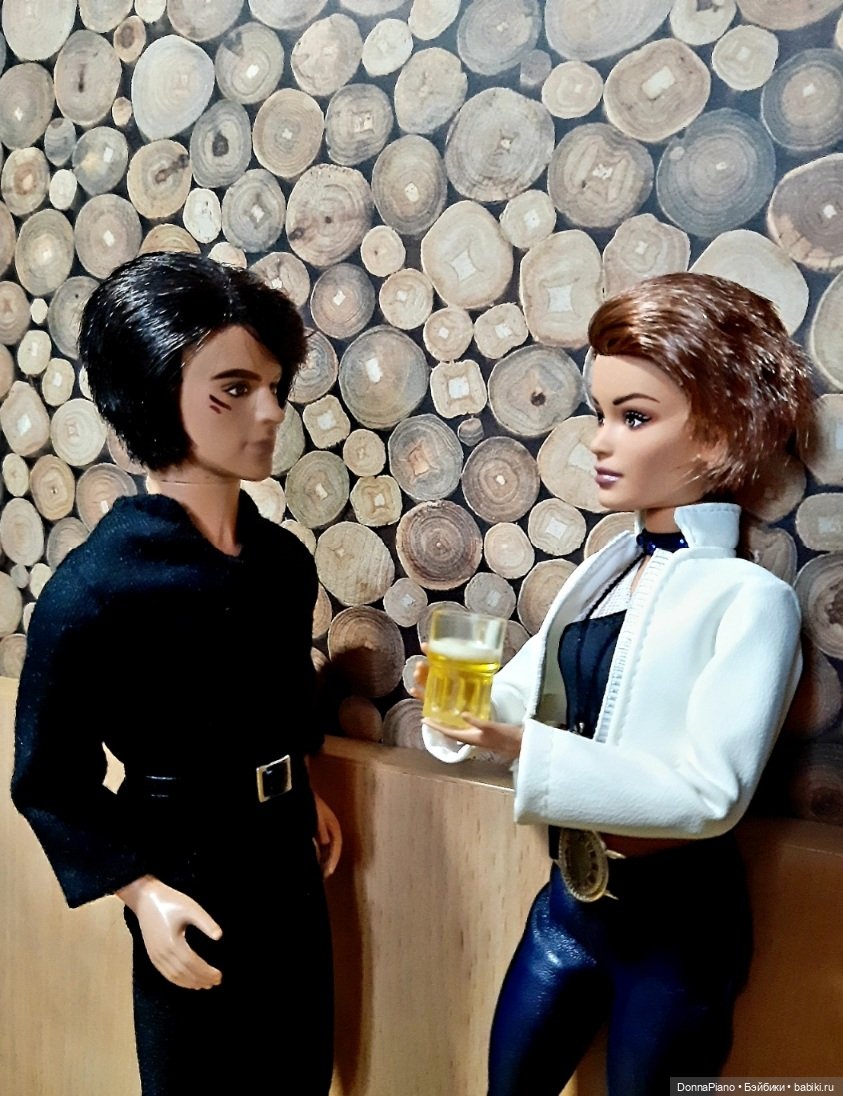 Вечер у Бродяги — Кукольные фотоистории и сериалы: комиксы