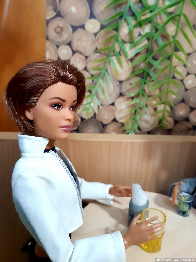 Вечер у Бродяги — Кукольные фотоистории и сериалы: комиксы