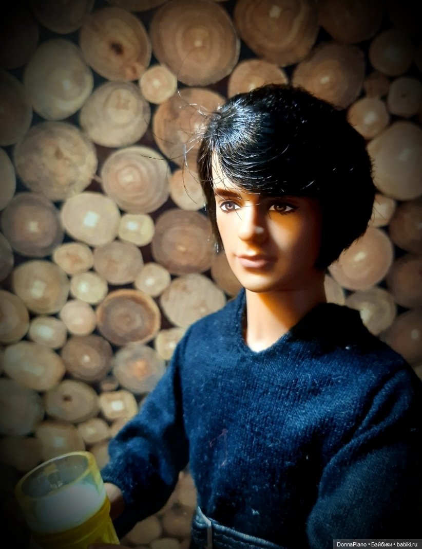 Вечер у Бродяги — Кукольные фотоистории и сериалы: комиксы