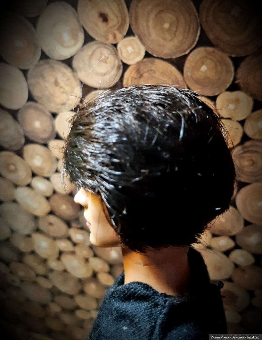 Вечер у Бродяги — Кукольные фотоистории и сериалы: комиксы