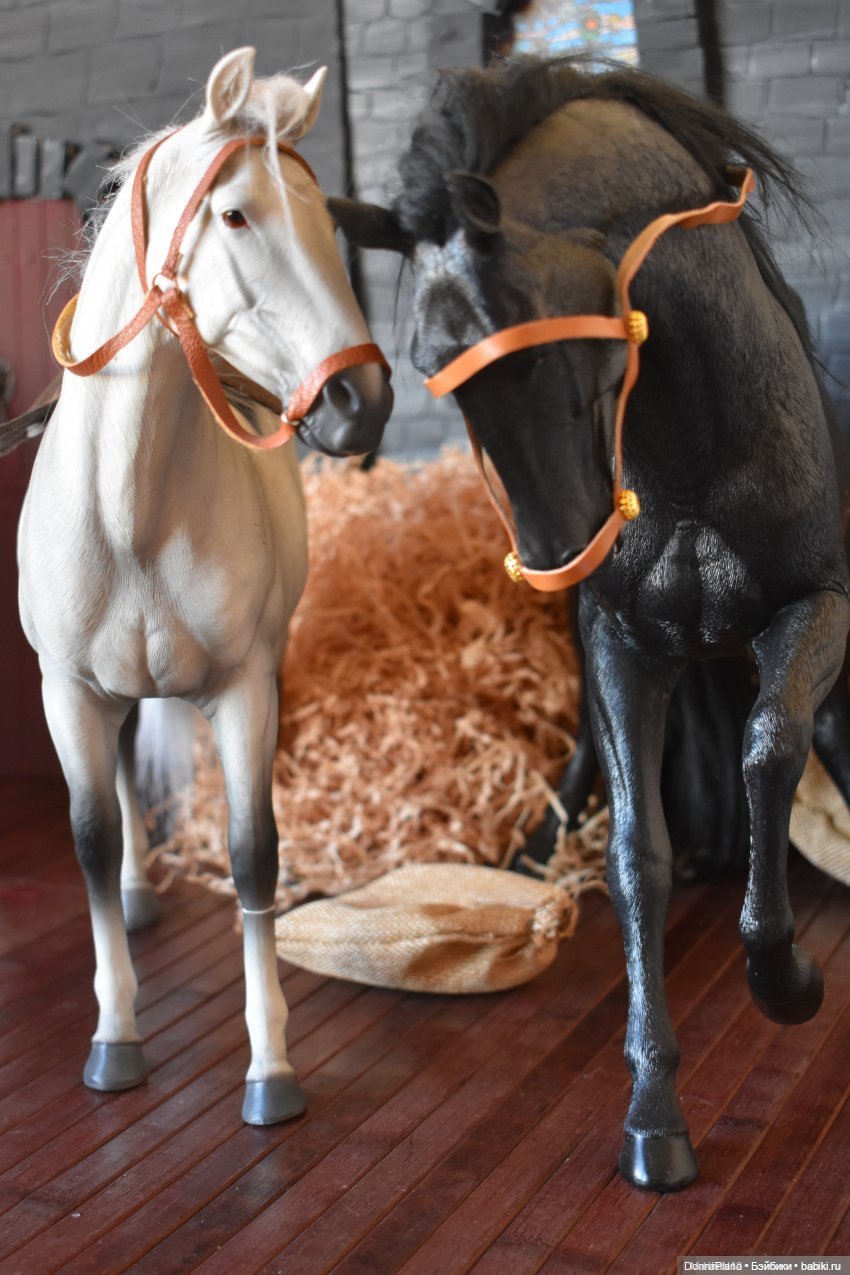 Ландсхутский гость — Кукольные фотоистории и сериалы: комиксы