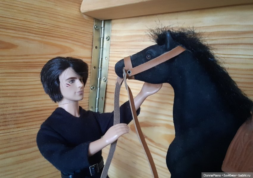 Ландсхутский гость — Кукольные фотоистории и сериалы: комиксы