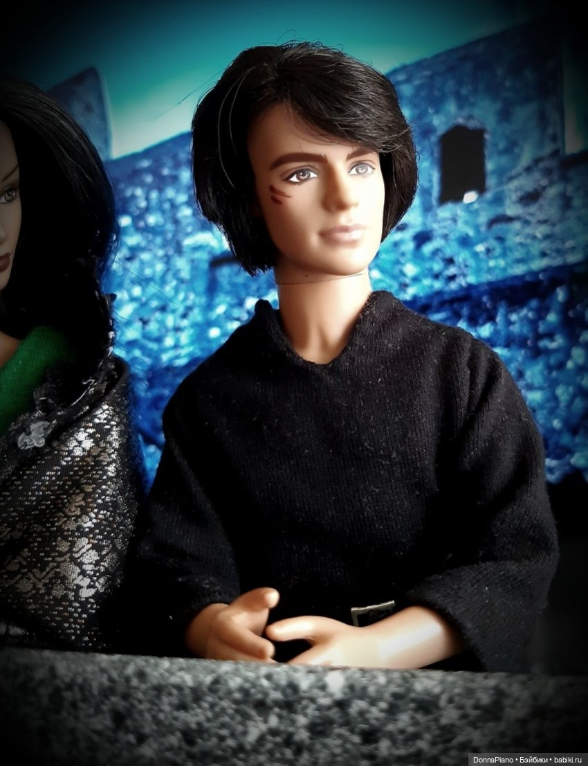 С высоты птичьего полёта — Кукольные фотоистории и сериалы: комиксы