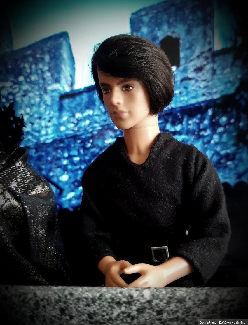 С высоты птичьего полёта — Кукольные фотоистории и сериалы: комиксы