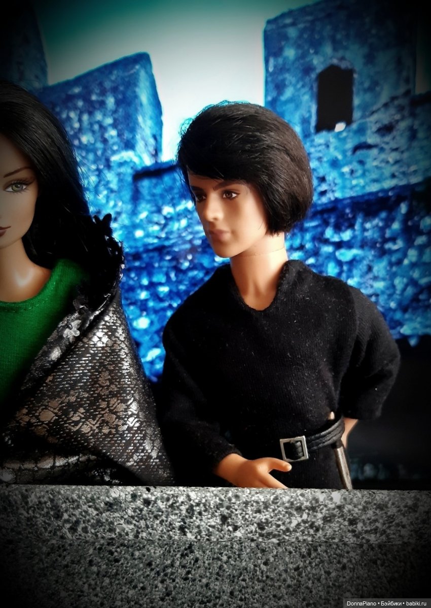 С высоты птичьего полёта — Кукольные фотоистории и сериалы: комиксы