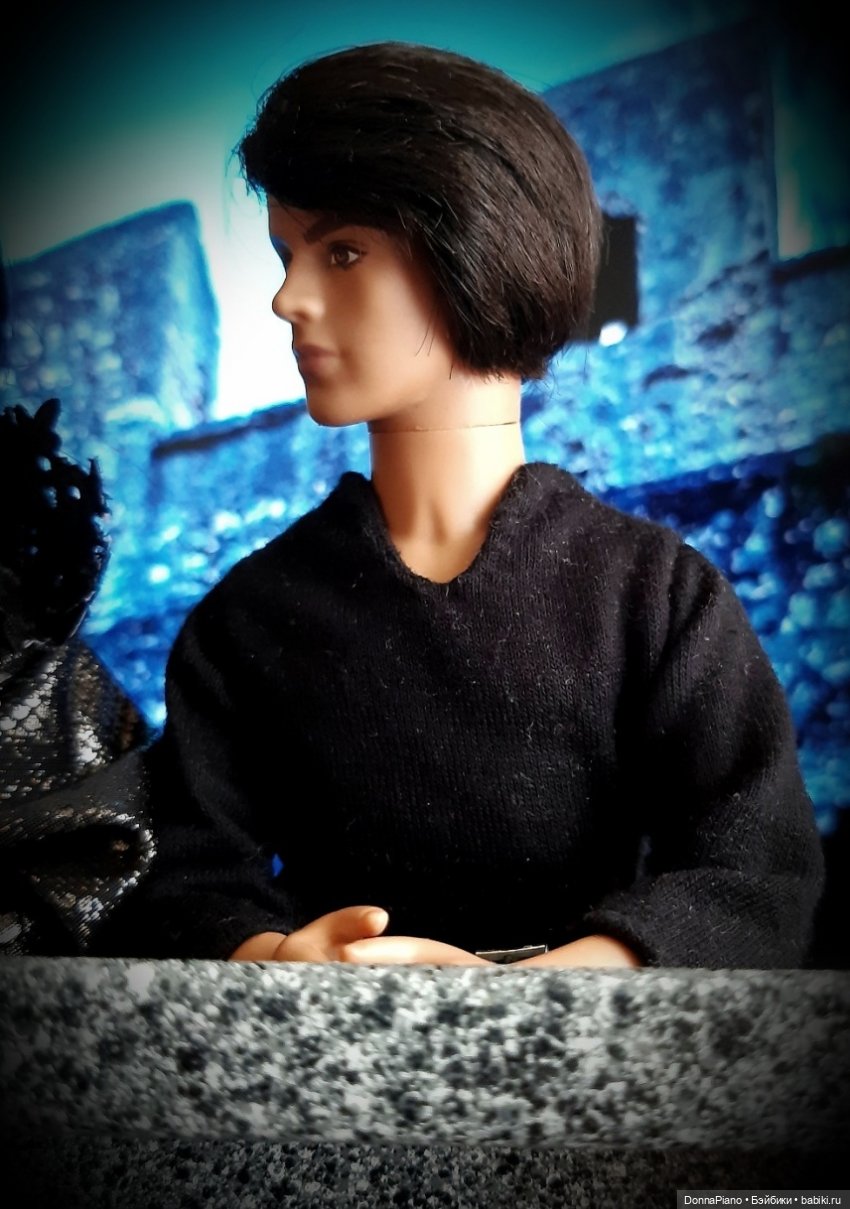 С высоты птичьего полёта — Кукольные фотоистории и сериалы: комиксы (фото 6)