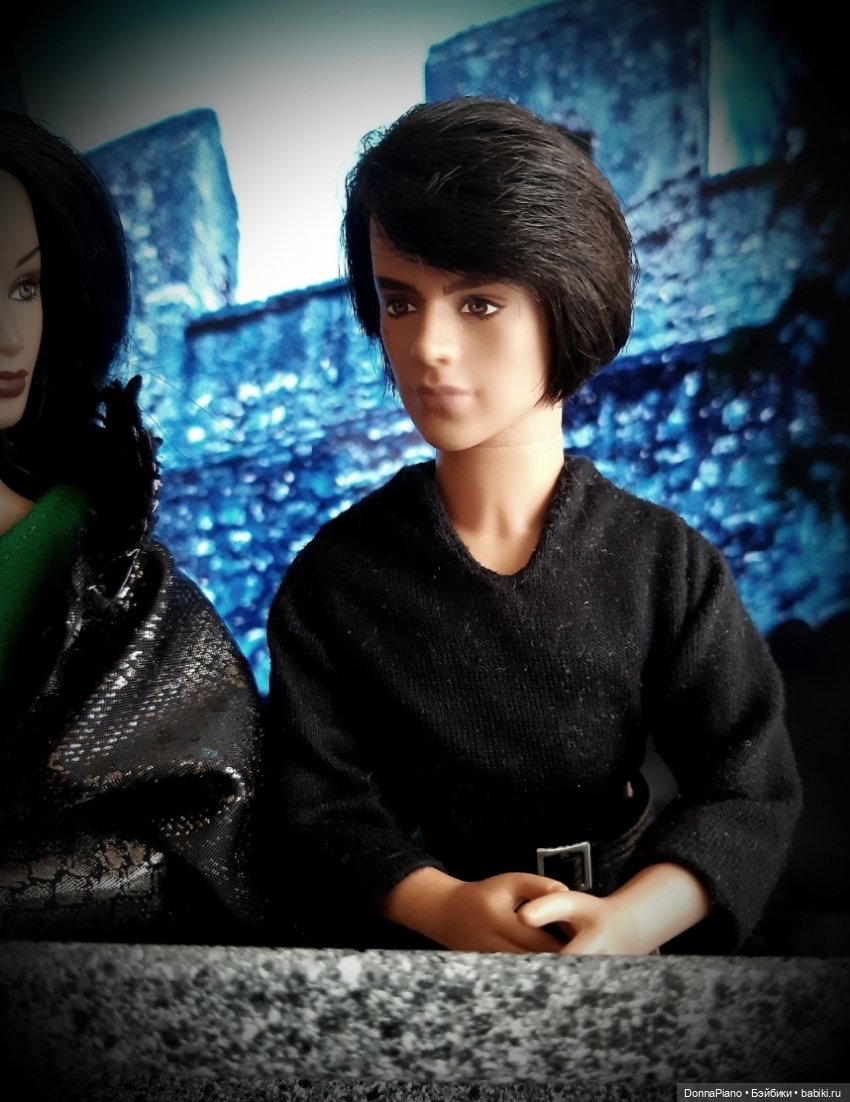 С высоты птичьего полёта — Кукольные фотоистории и сериалы: комиксы