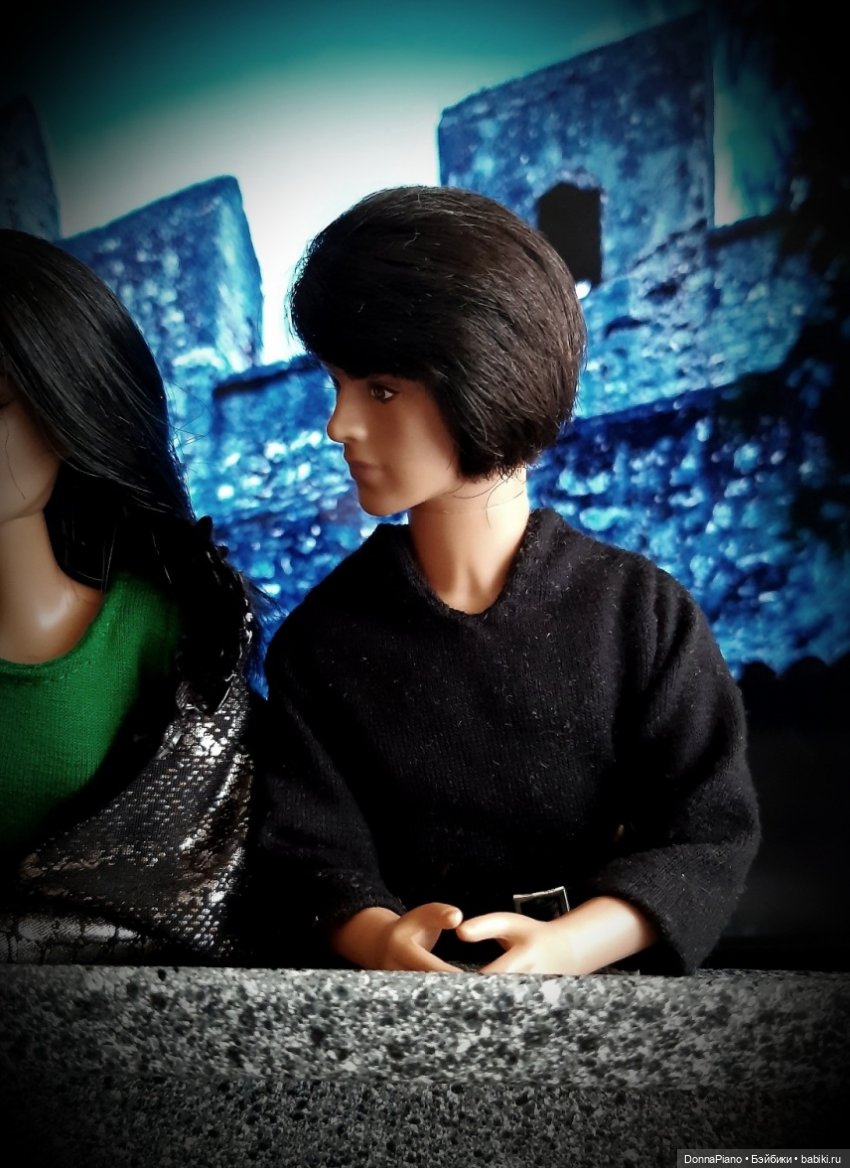 С высоты птичьего полёта — Кукольные фотоистории и сериалы: комиксы (фото 8)