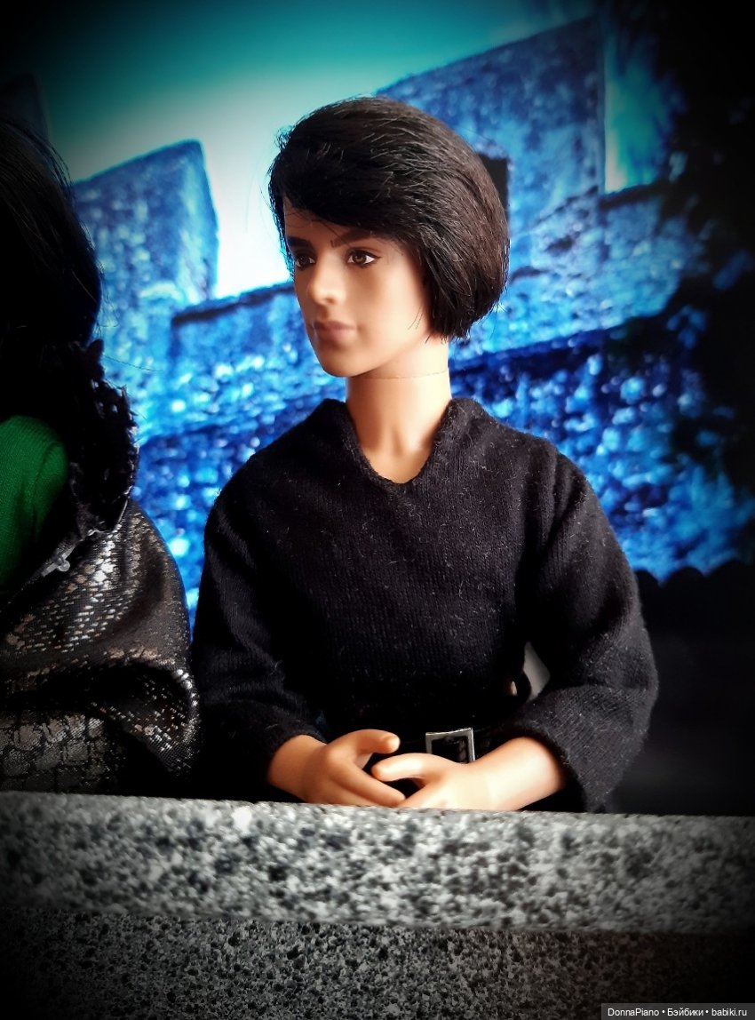 С высоты птичьего полёта — Кукольные фотоистории и сериалы: комиксы