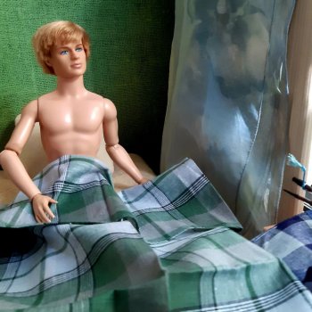 Почему бы и нет?