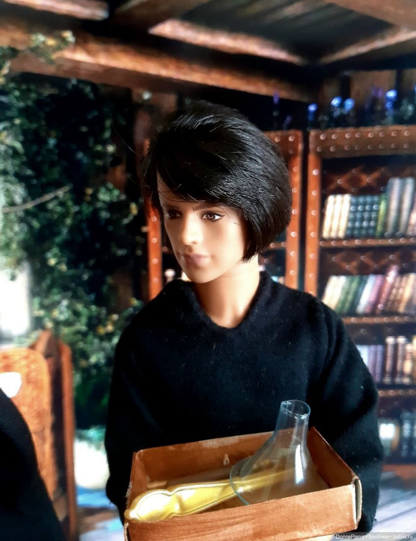 Наглядное пособие — Кукольные фотоистории и сериалы: комиксы (фото 6)