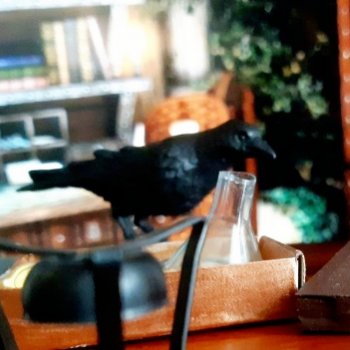 Наглядное пособие