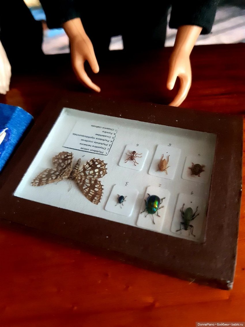 Наглядное пособие — Кукольные фотоистории и сериалы: комиксы