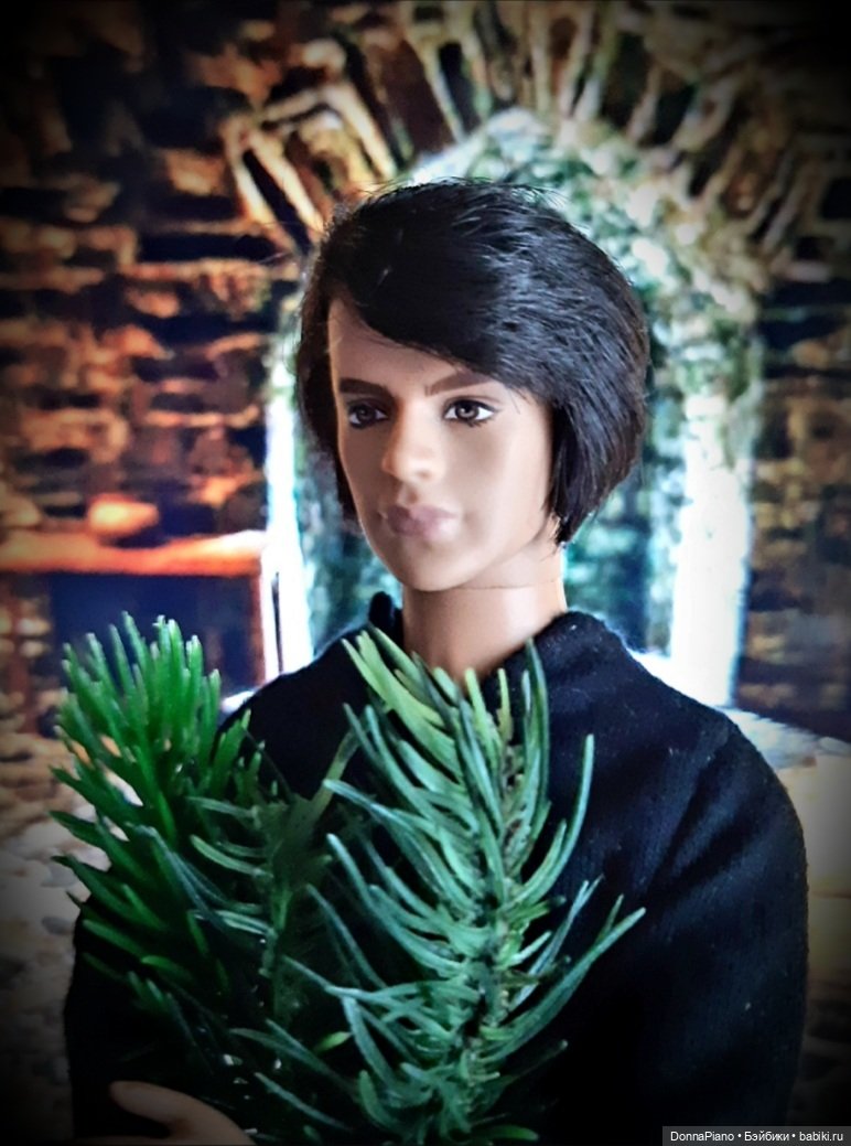 Свобода для ручного ворона