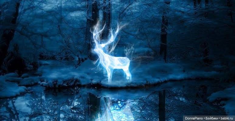 Мастер-класс по ЗОТИ: Средства против страха (АНОНС) (фото 4)