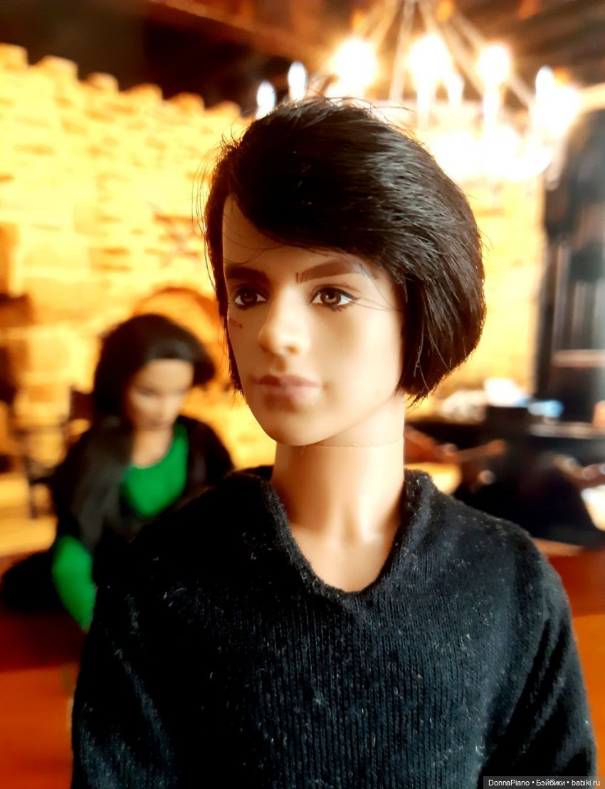 Снова дома — Кукольные фотоистории и сериалы: комиксы