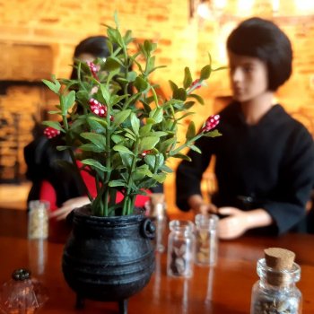 Доживём до лета