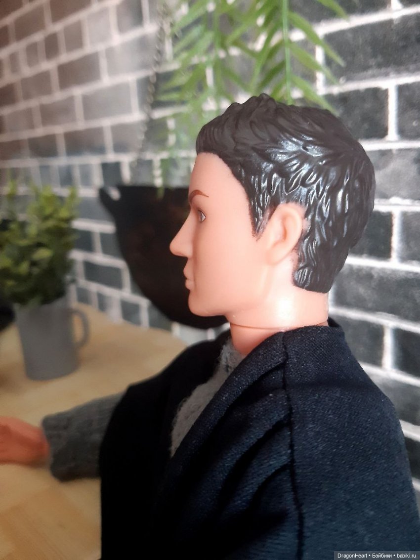 Риск и осторожность — Кукольные фотоистории и сериалы: комиксы