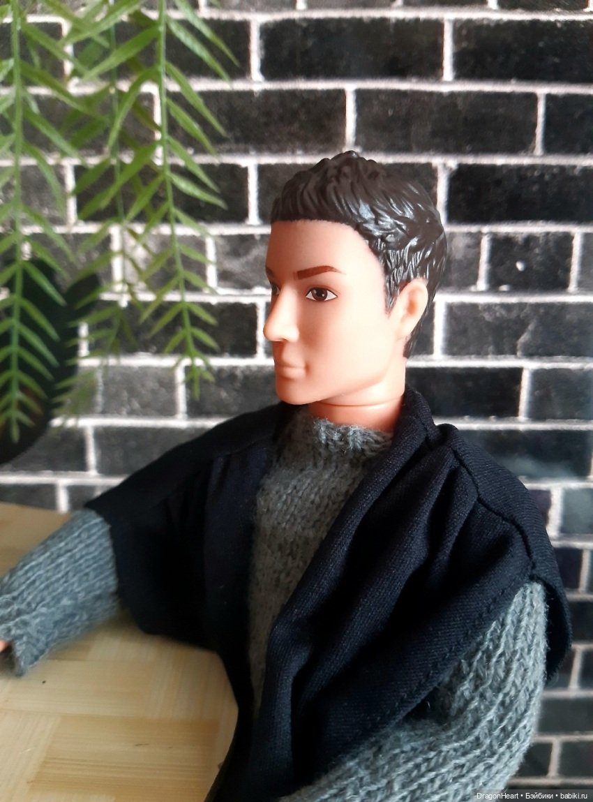 Риск и осторожность — Кукольные фотоистории и сериалы: комиксы (фото 3)