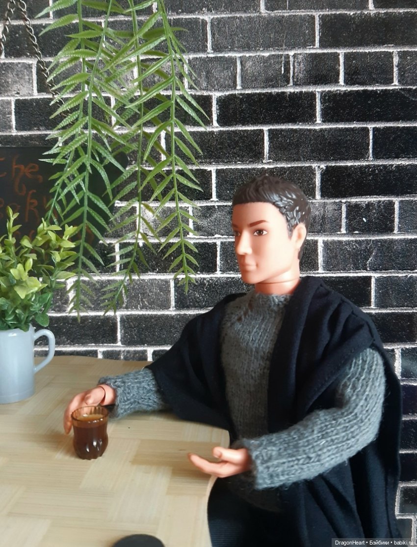 Риск и осторожность — Кукольные фотоистории и сериалы: комиксы (фото 6)