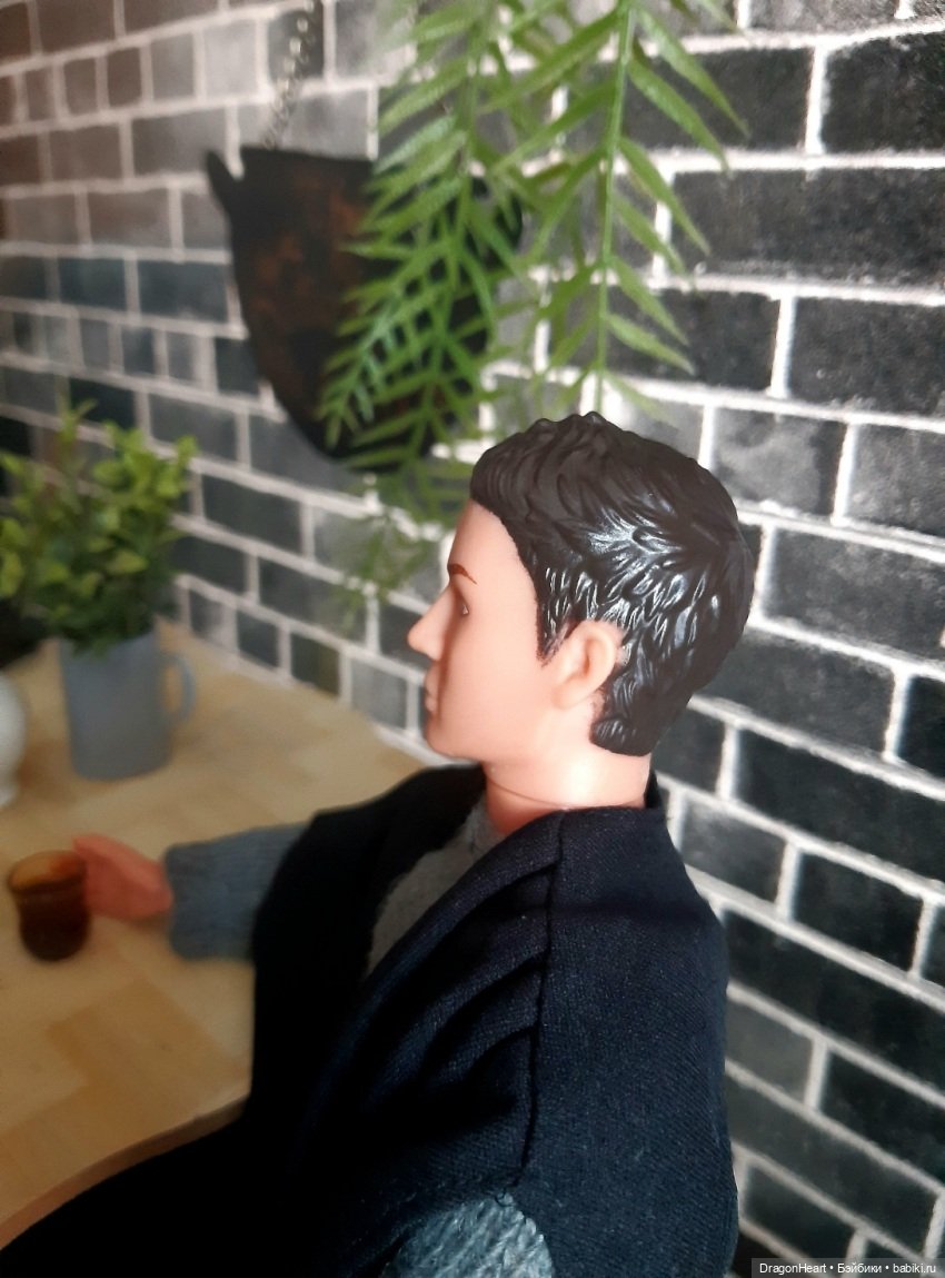 Риск и осторожность — Кукольные фотоистории и сериалы: комиксы (фото 4)