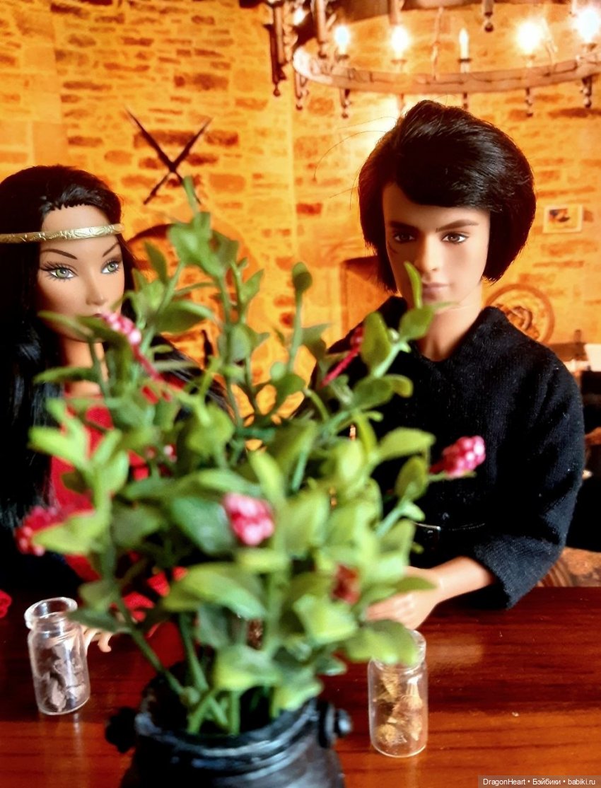 Доживём до лета — Кукольные фотоистории и сериалы: комиксы (фото 8)