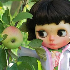 Вот и яблочки поспели