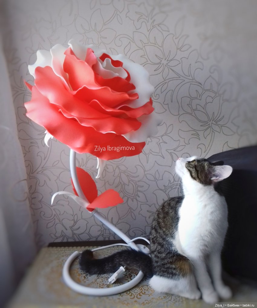 Дела мои цветочные (немного фоточек) (фото 4)