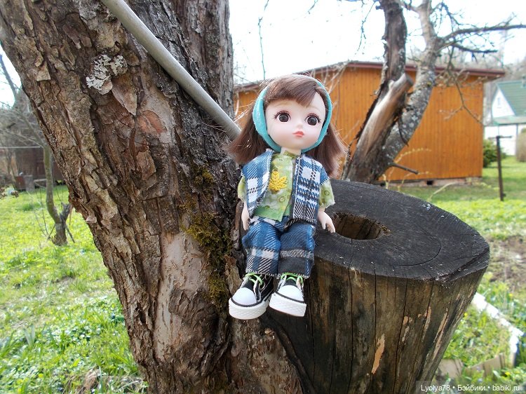 Моё небольшое "семейство"