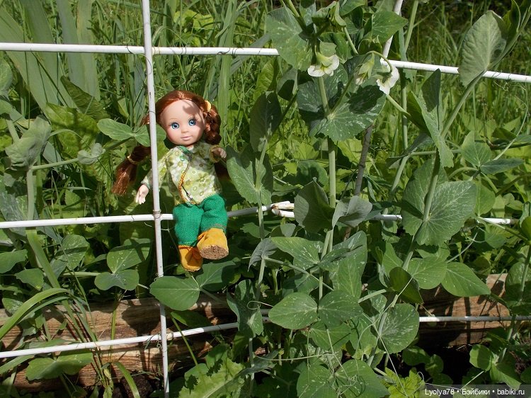 Малявки на природе — Куклы Baboliy (Баболи