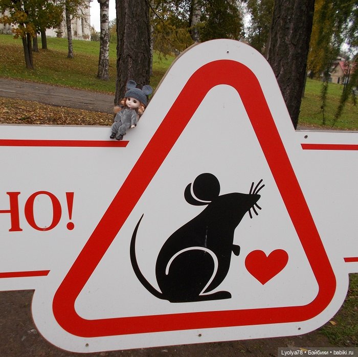 Внезапная мышка в Мышкине и Рыбинске