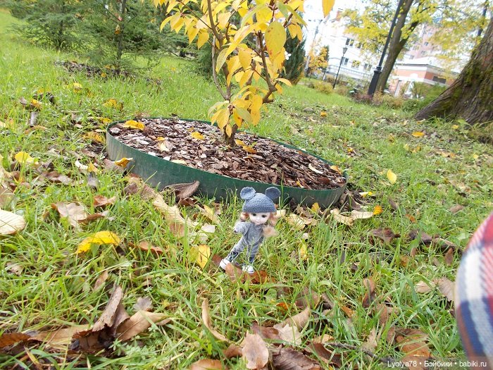 Внезапная мышка в Мышкине и Рыбинске