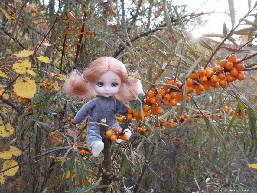 Осенняя мелочь на природе