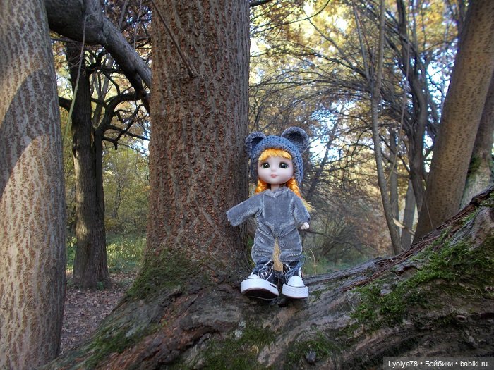 Осенняя мелочь на природе (фото 2)