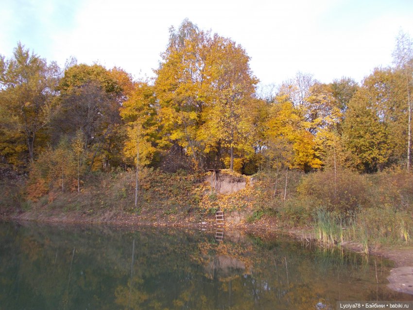 Осенняя мелочь на природе (фото 9)