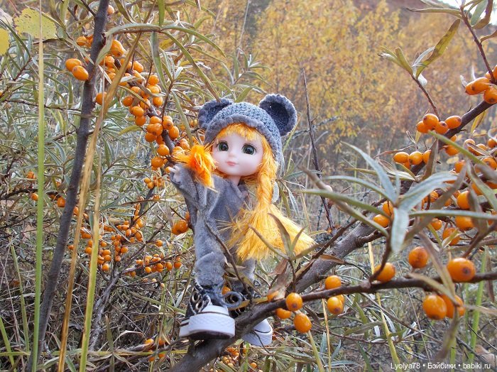 Осенняя мелочь на природе