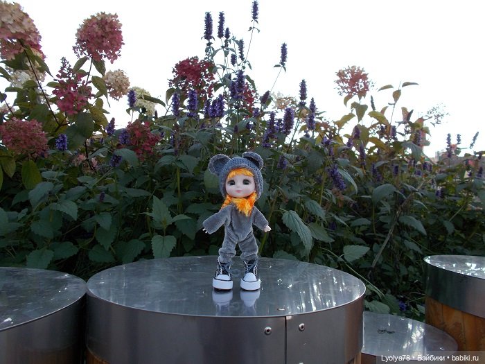 Осенняя мелочь на природе (фото 6)