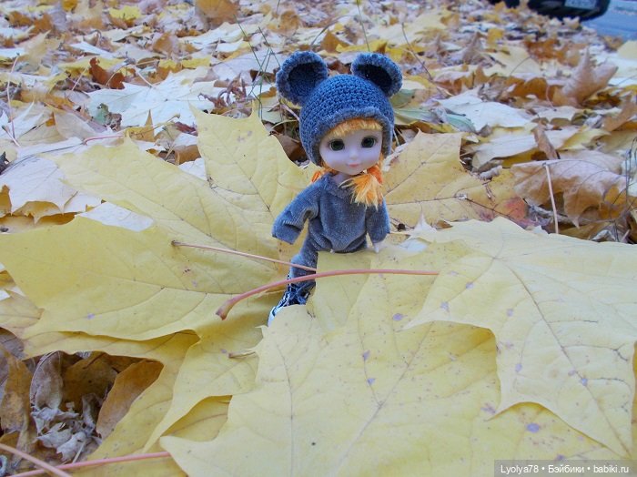 Осенняя мелочь на природе