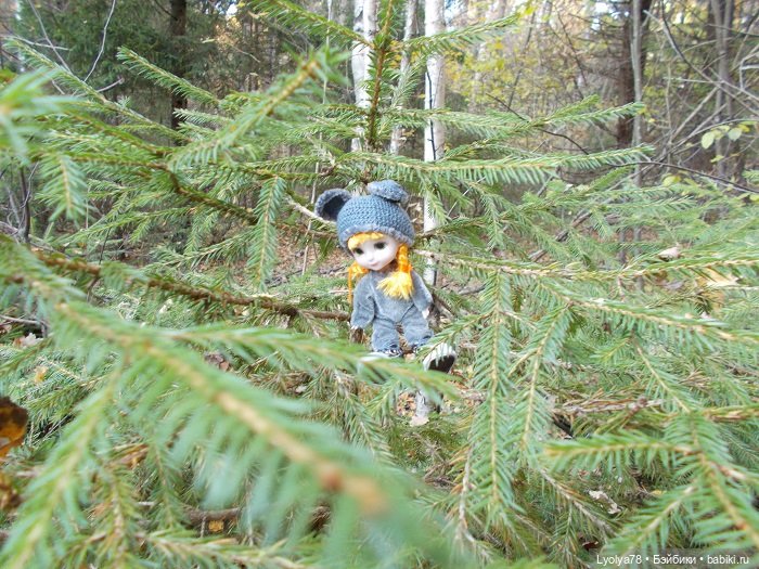 Осенняя мелочь на природе