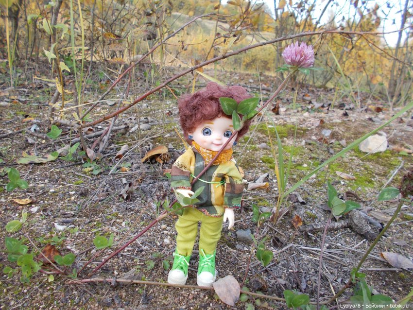 Осенняя мелочь на природе