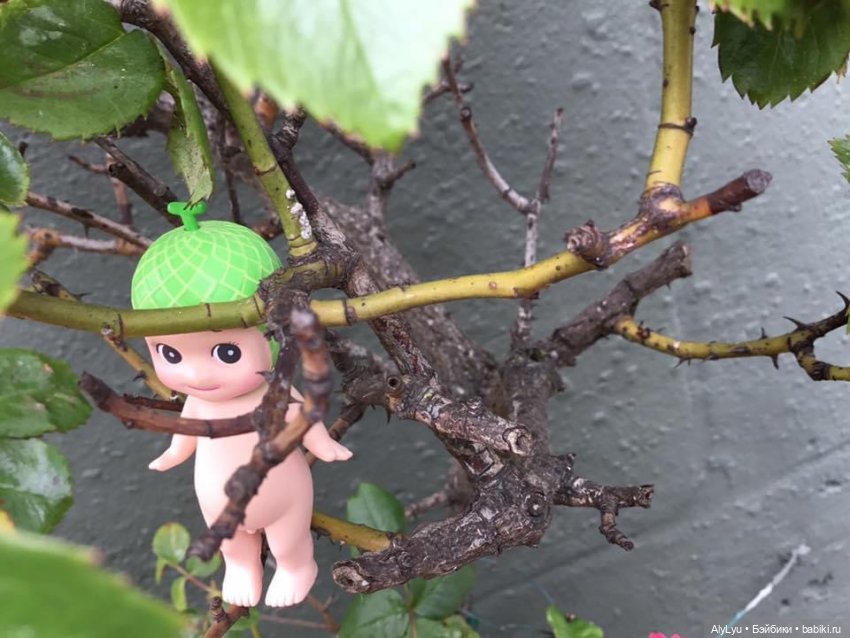 Приключения дынного эльфа Сонни | Бэйбики Приключения дынного эльфа Сонни (фото 3)