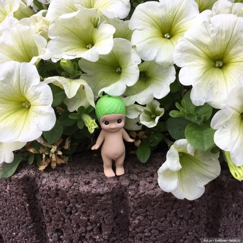 Приключения дынного эльфа Сонни | Бэйбики Приключения дынного эльфа Сонни